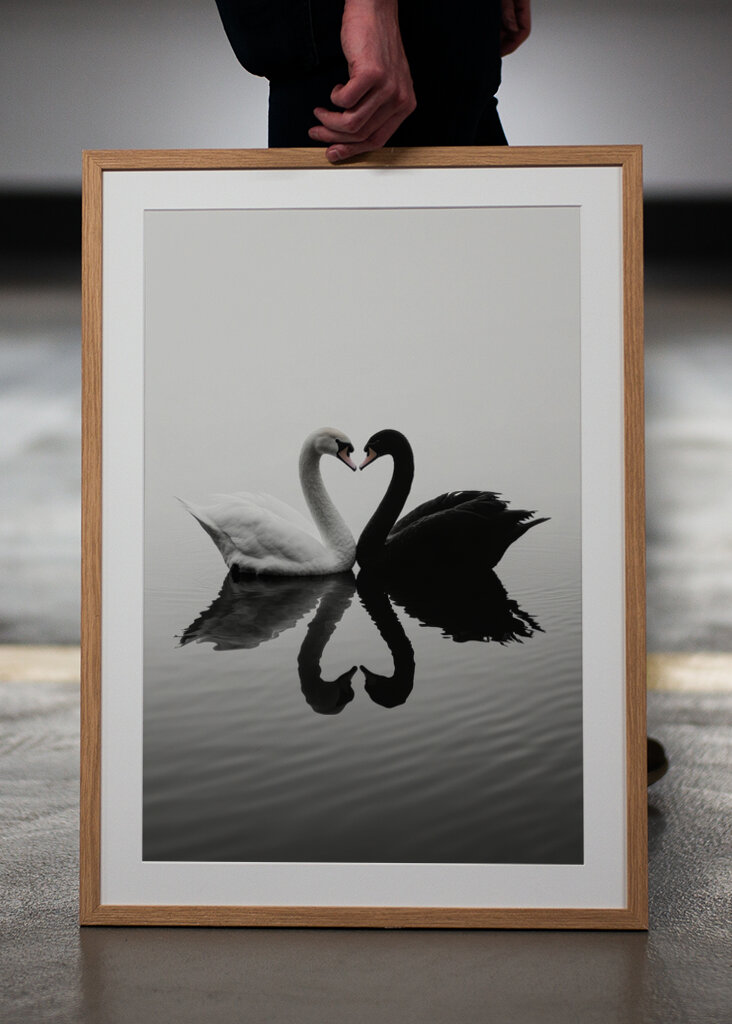 Verliebtes Gänsepaar