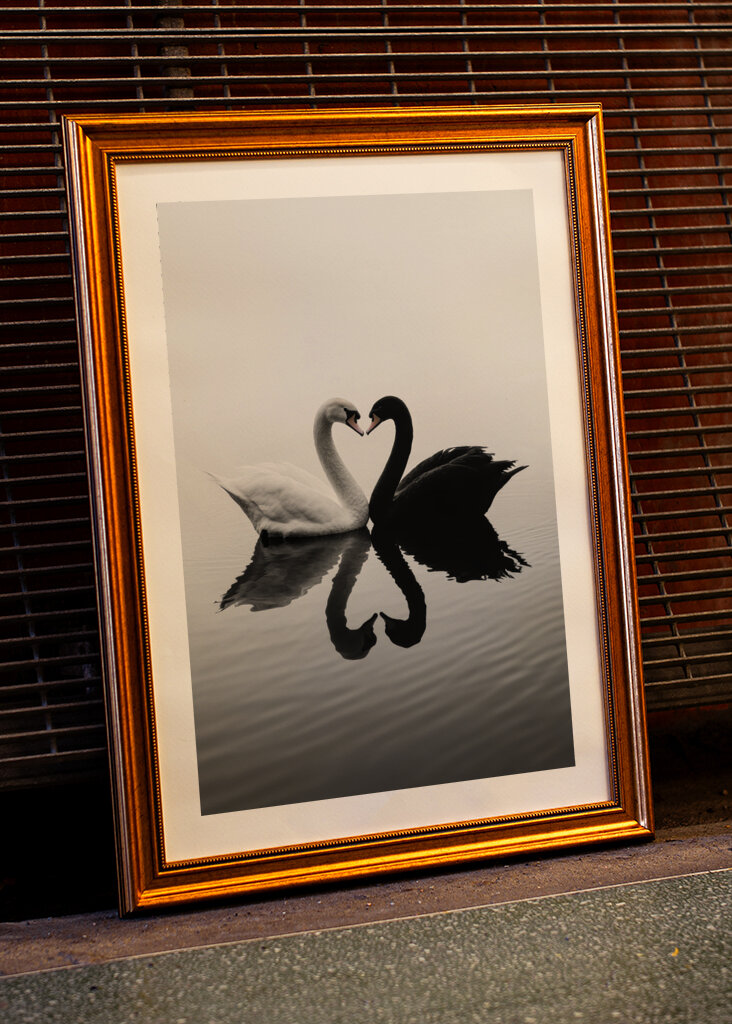 Verliebtes Gänsepaar