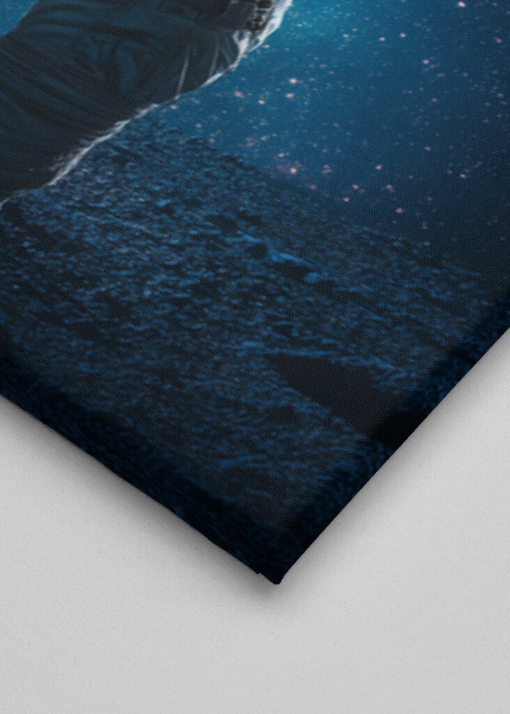 Astronauta en la Luna