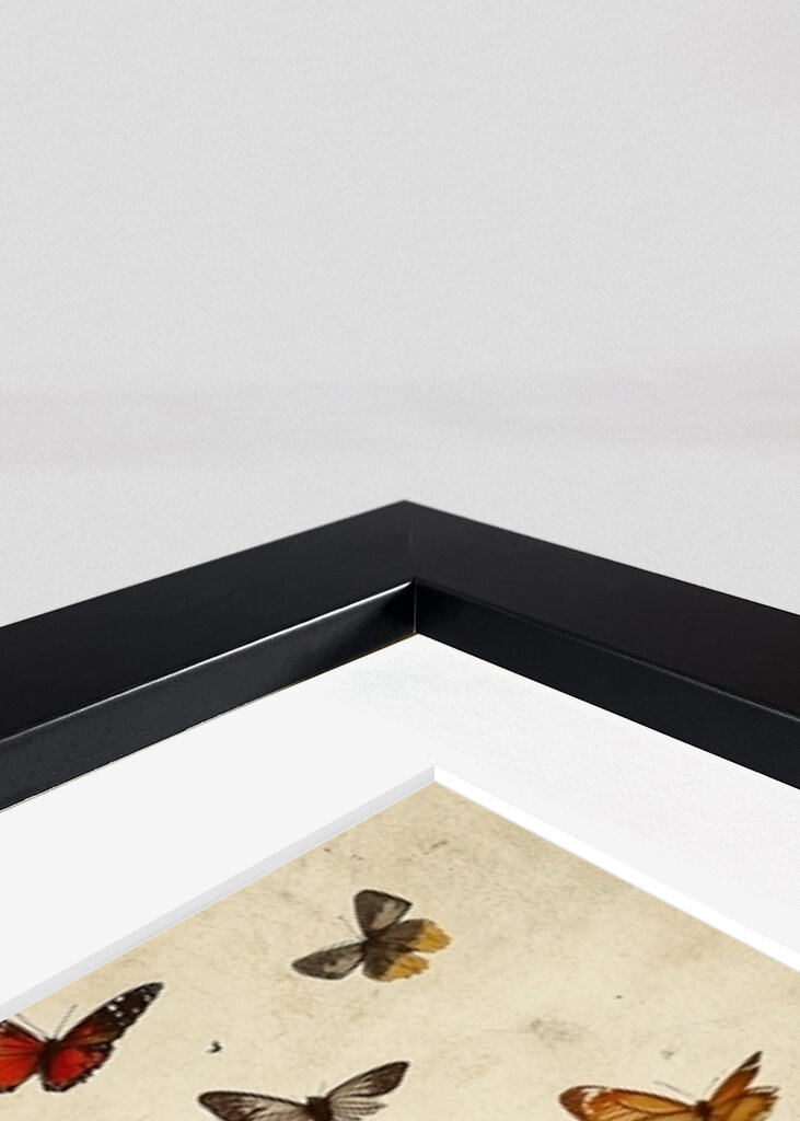 Inner Garden Blooming Thoughts