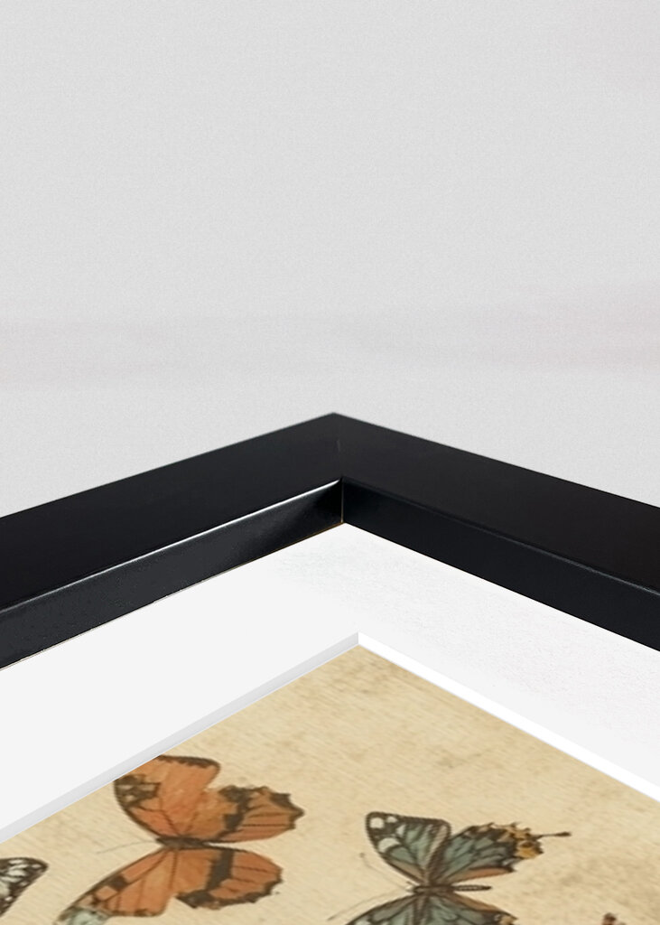 Inner Garden - Inner Garden