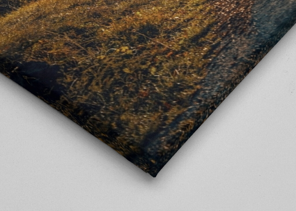 Východ slunce v kopcovité krajině