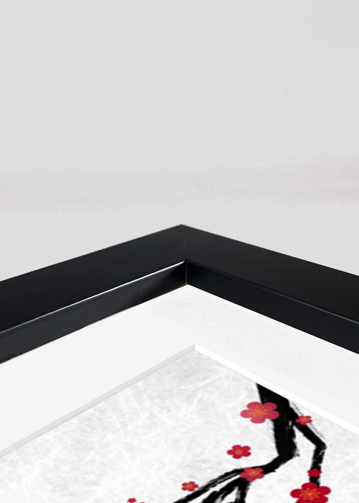 Naoe Assassin's Creed Shadows