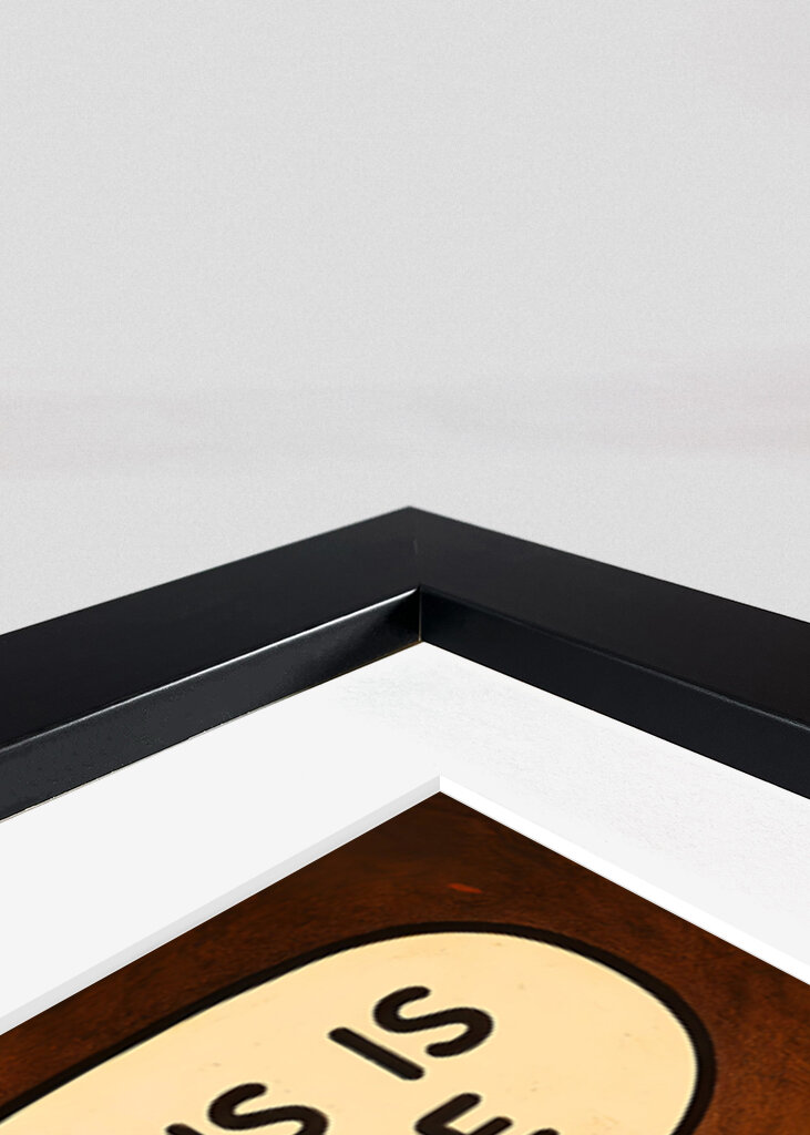 Este es un buen meme de inodoro