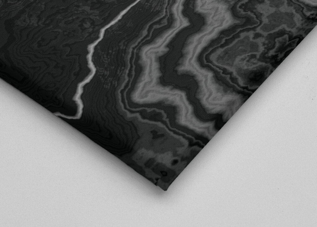 Struttura del marmo nero fossile