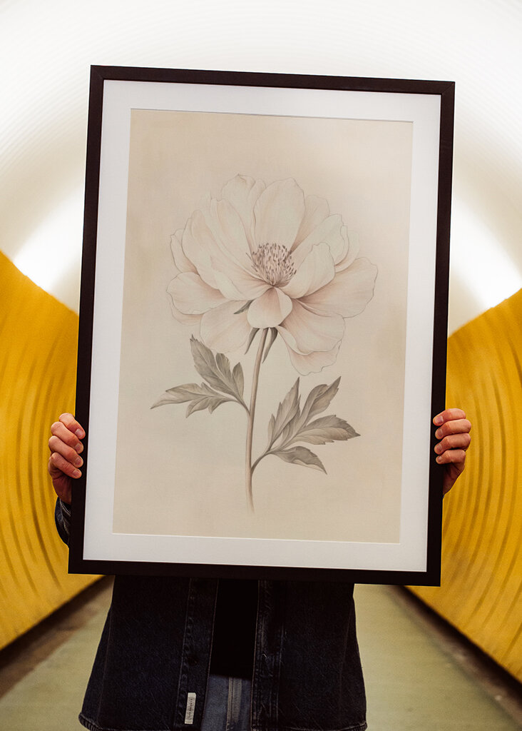 Miękkość botaniczna 1