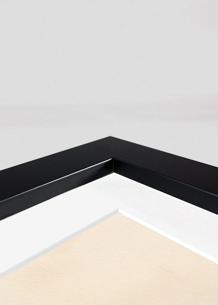 Miękkość botaniczna 1