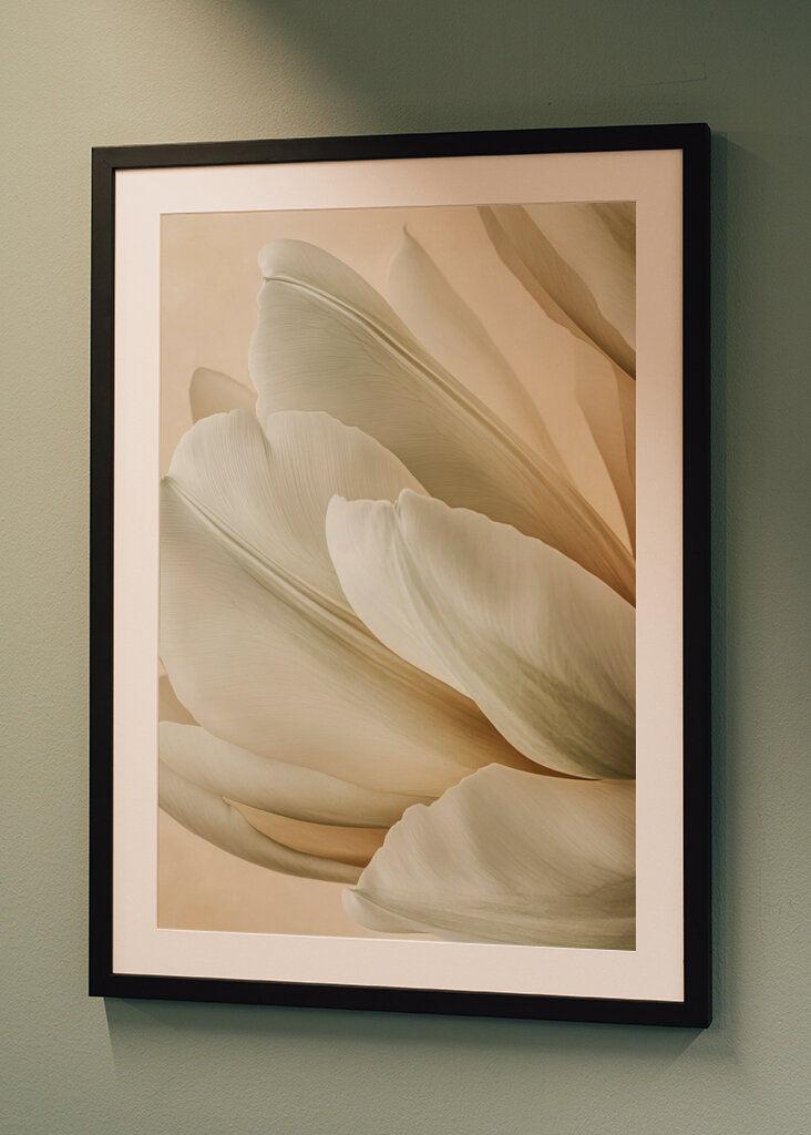 Botanical Softness 6