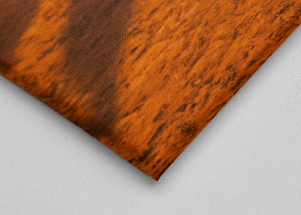 18. WM: Serbien gegen Brasilien