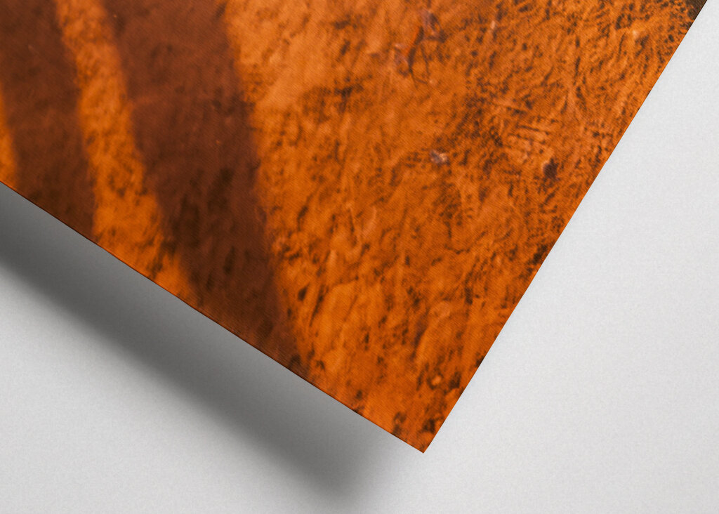 18. WM: Serbien gegen Brasilien