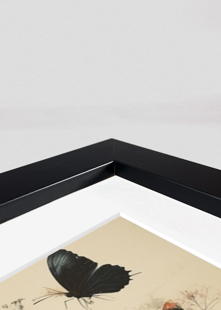 Inner Garden - Skyward Bloom