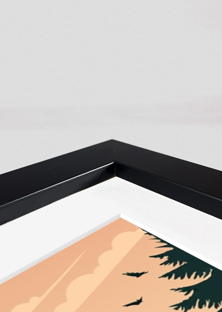 Forest by Sunset Nature