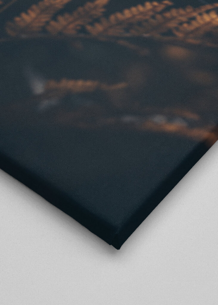 La felce nei colori dell'autunno