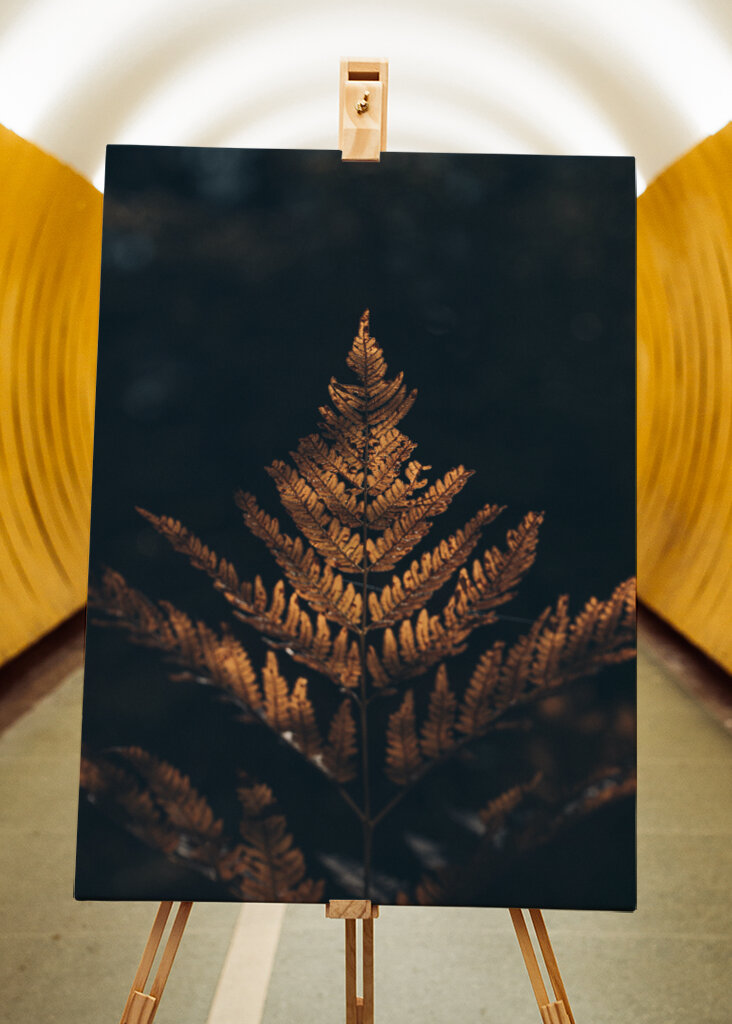 La felce nei colori dell'autunno