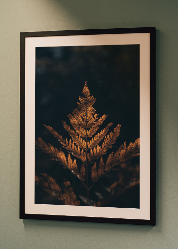 La felce nei colori dell'autunno