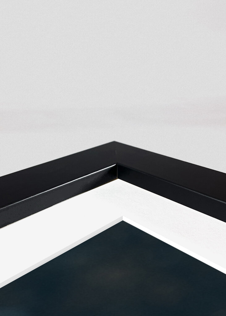 La felce nei colori dell'autunno