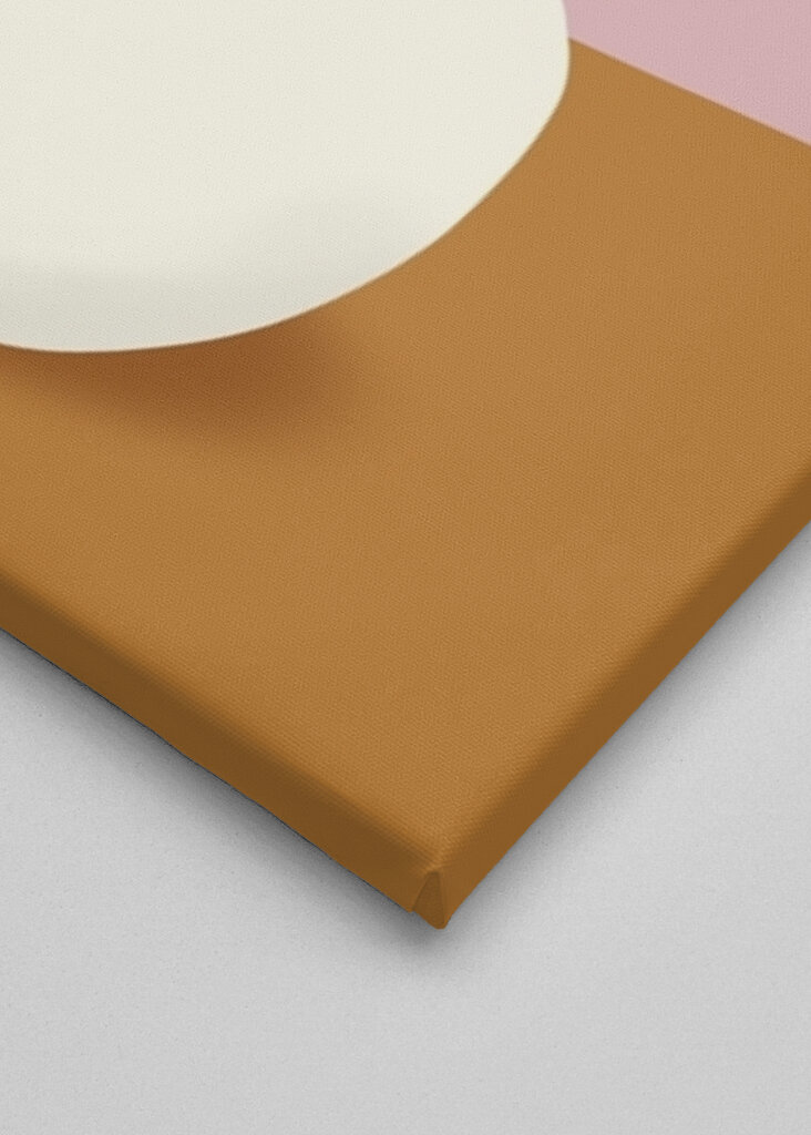 Tulips in white vase