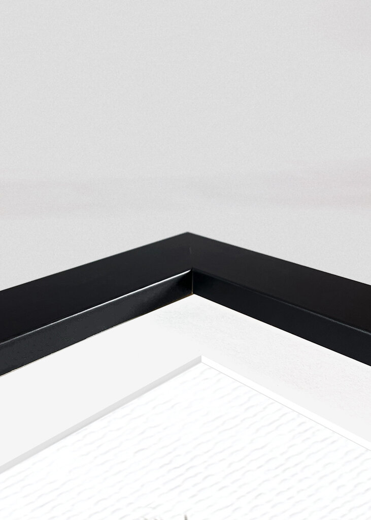 SPIRAL FACE PORTRAIT