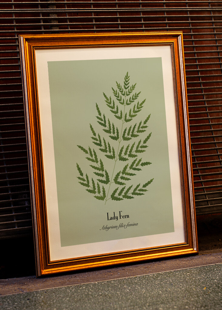 Dame Fern
