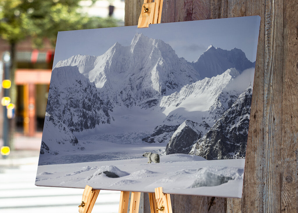 Ours polaire dans le paysage hivernal 