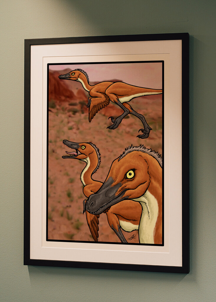 Il vero Velociraptor