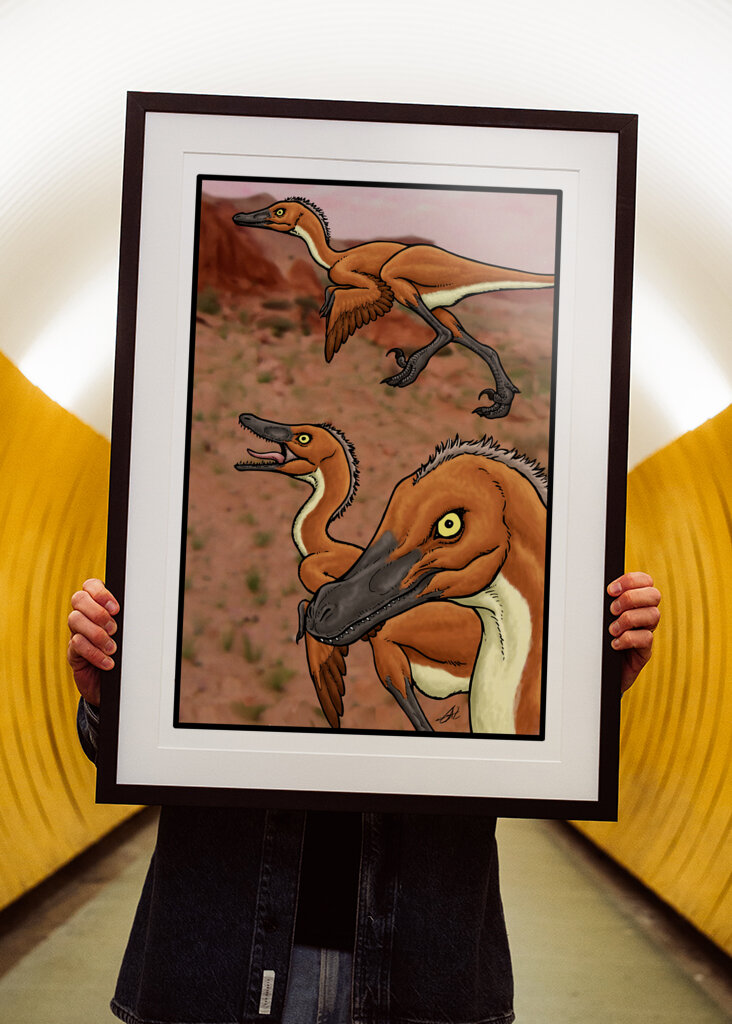 Il vero Velociraptor