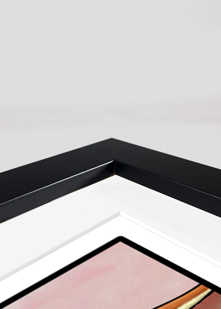 Il vero Velociraptor