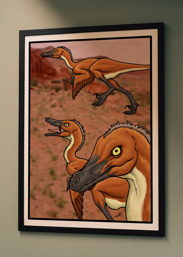 Il vero Velociraptor