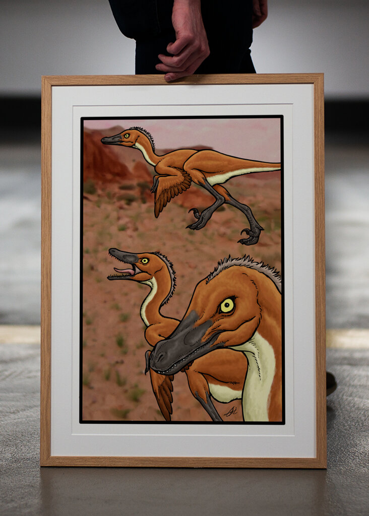 Il vero Velociraptor