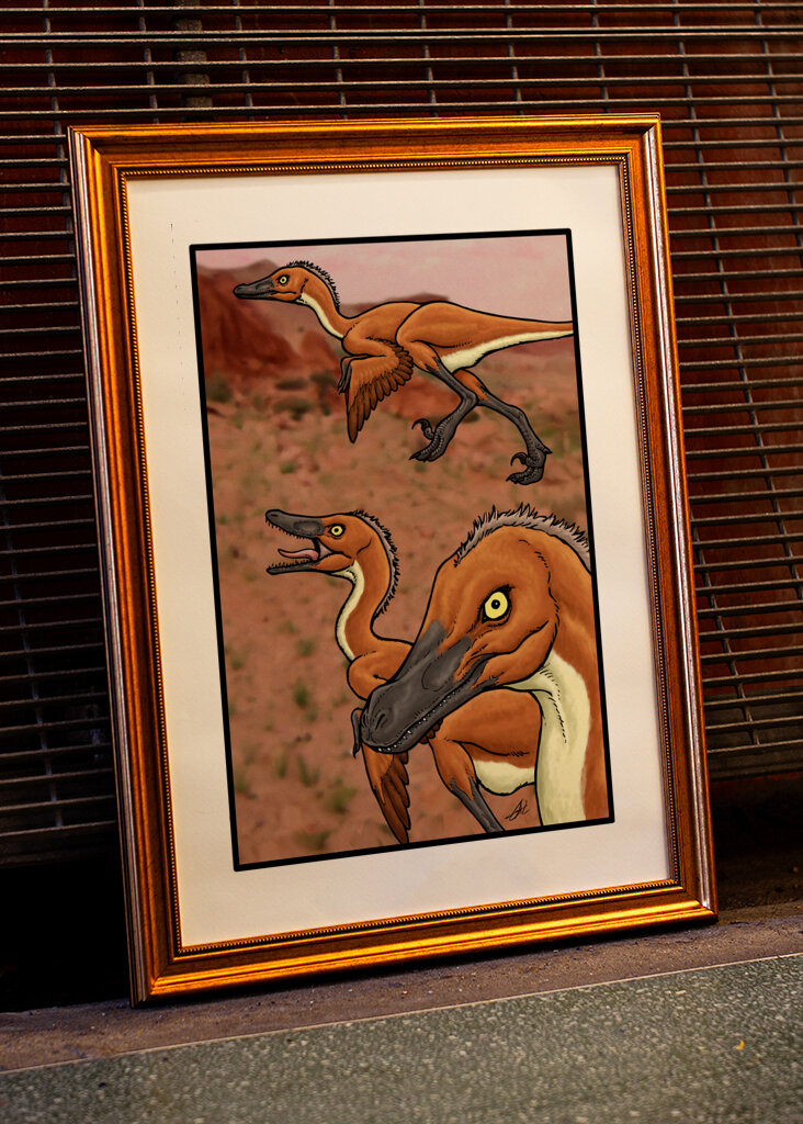 Il vero Velociraptor