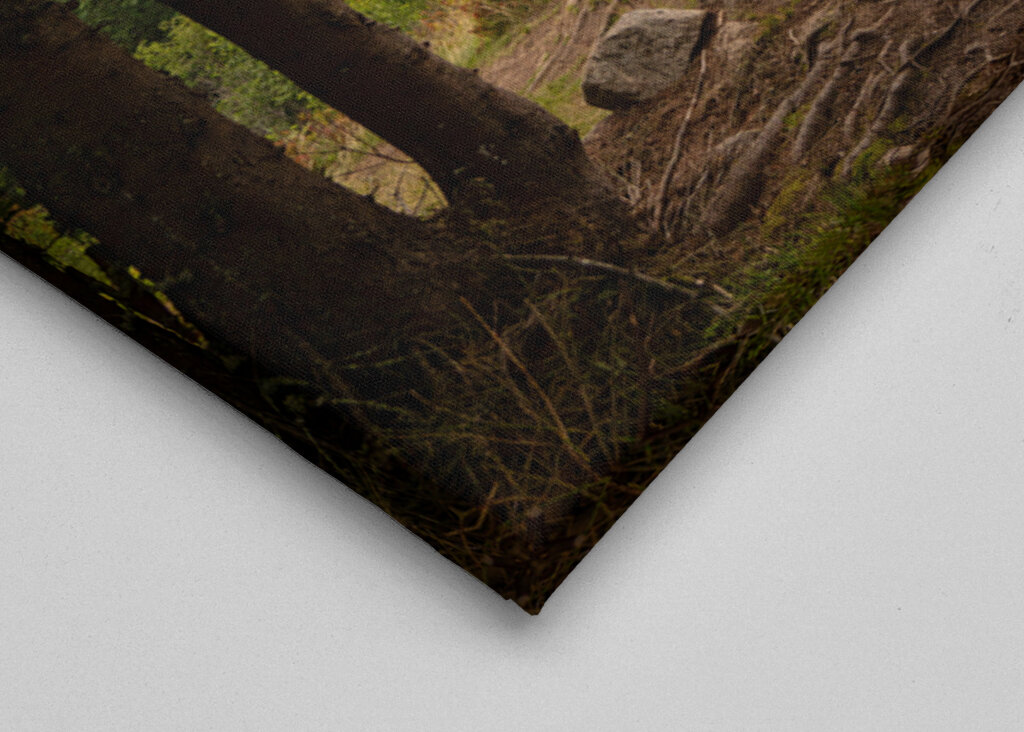  On a hike to Rakssetra.