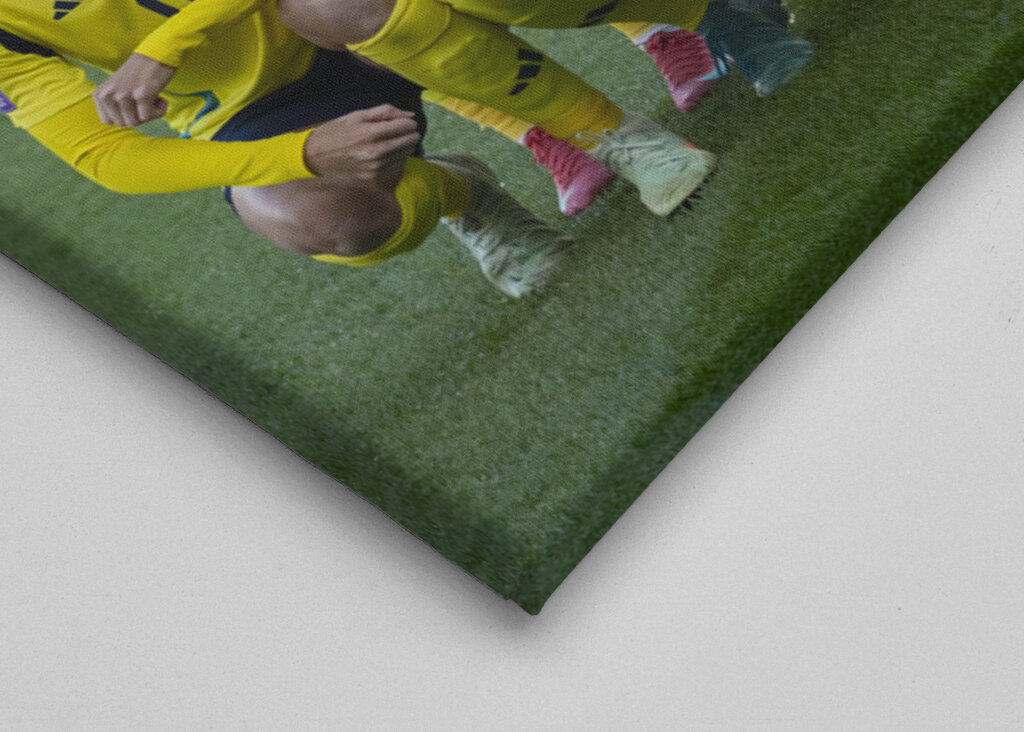 Det svenske fodboldlandshold