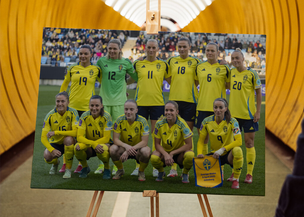 Det svenske fodboldlandshold