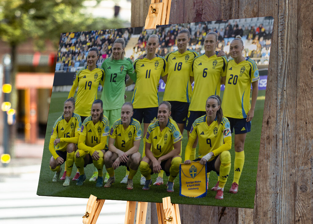 Det svenske fodboldlandshold