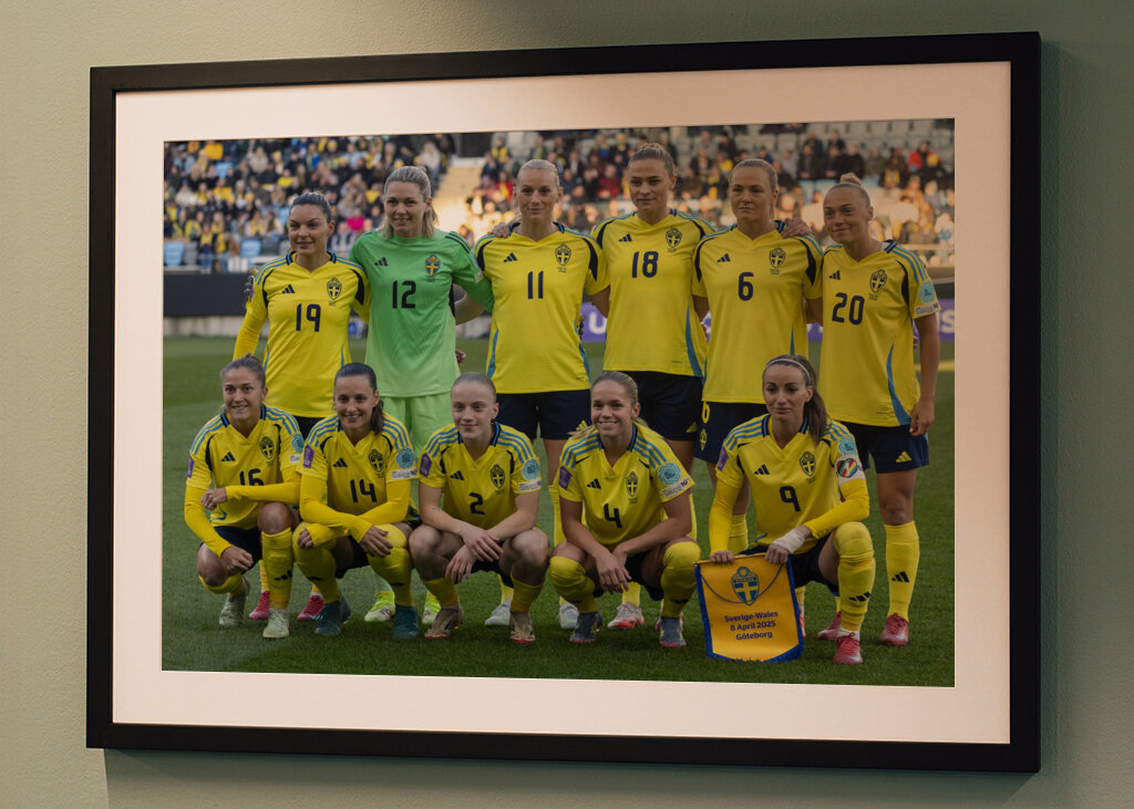 Det svenske fodboldlandshold