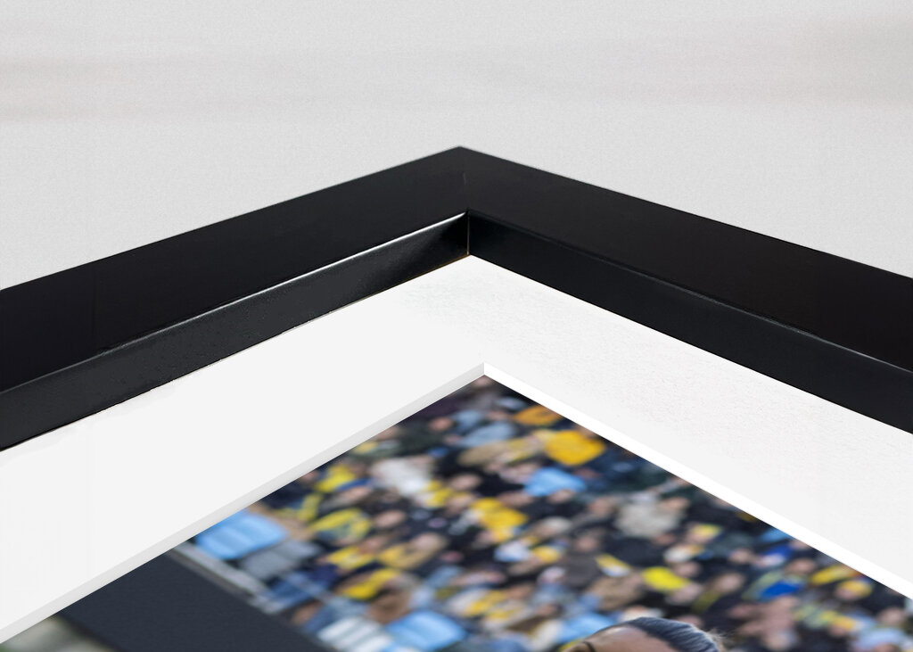 Det svenske fodboldlandshold