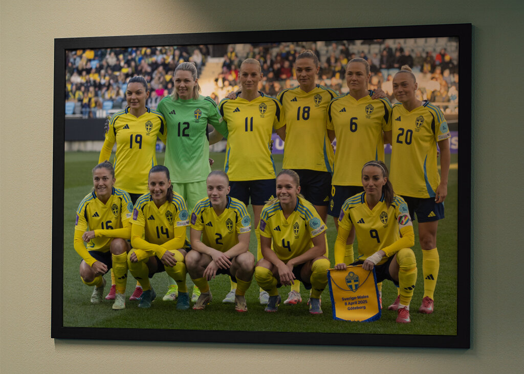 Det svenske fodboldlandshold