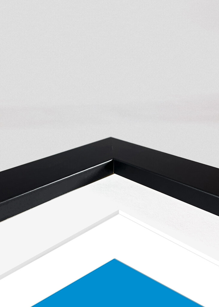 Center of the Universe