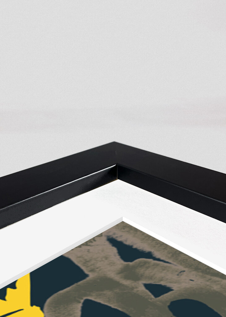 Get Rich or Noot Tryin