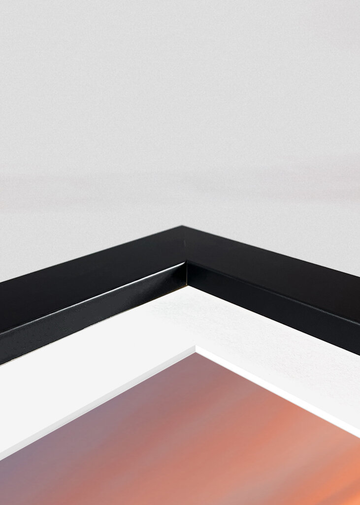 Det rogivande havet 2