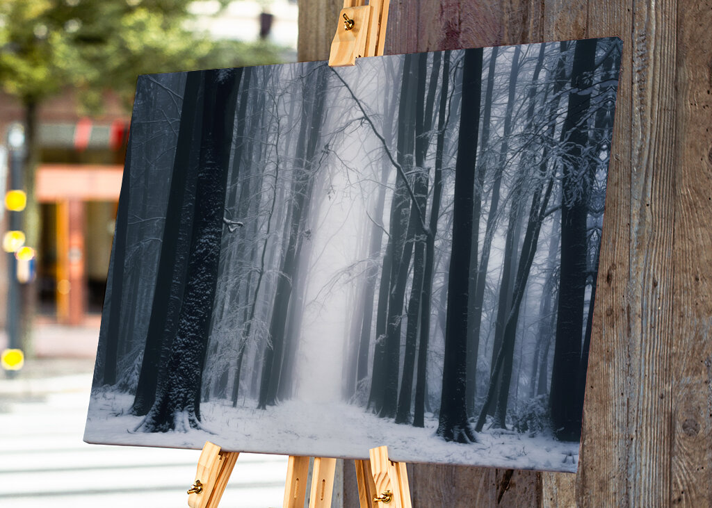 A beautiful winter forest