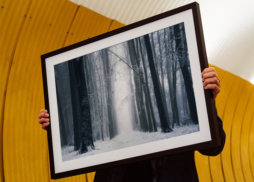 A beautiful winter forest