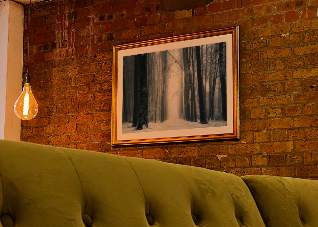 A beautiful winter forest