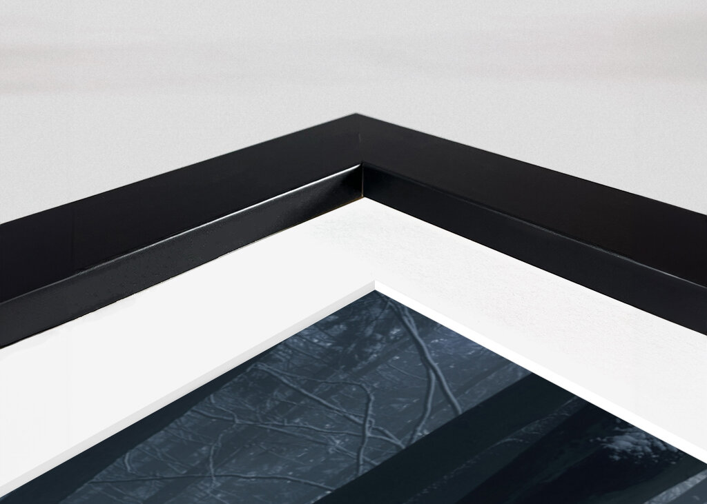 A beautiful winter forest