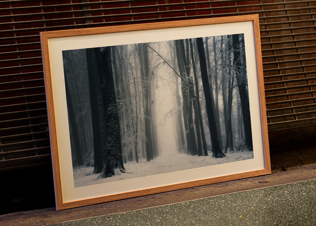 A beautiful winter forest