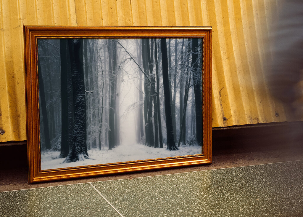 A beautiful winter forest