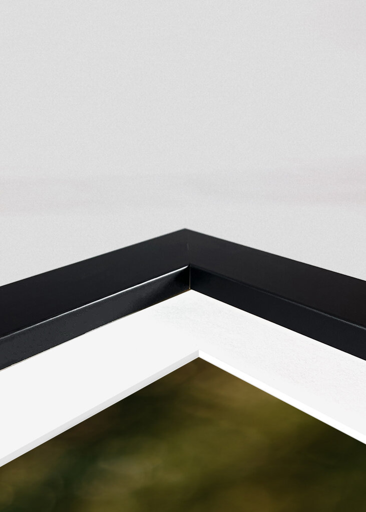 Helleborus i motljus