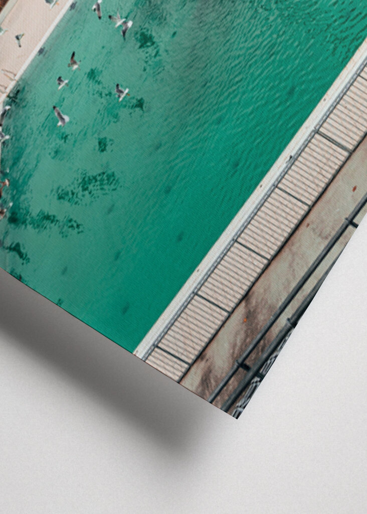 Vogels vliegen over Barcelona