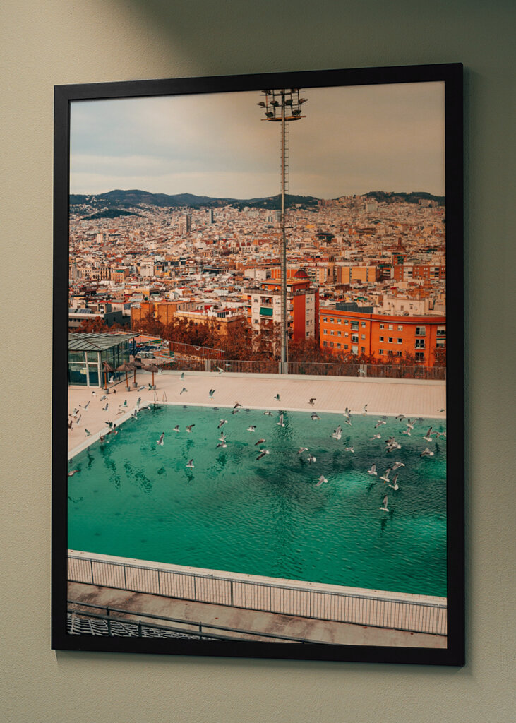 Vogels vliegen over Barcelona