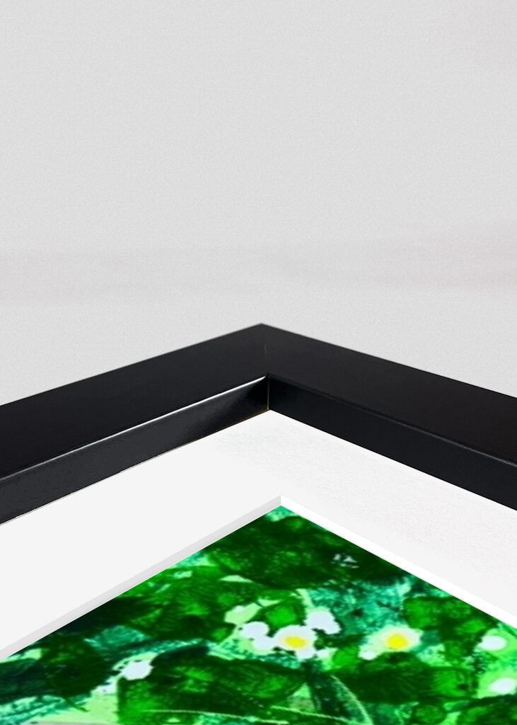 auf der wiese liegen